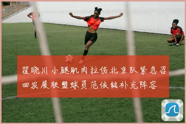 翟晓川小腿肌肉拉伤北京队紧急召回发展联盟球员范依铭补充阵容