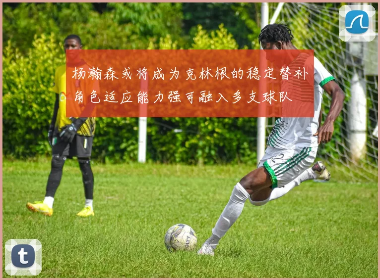 杨瀚森或将成为克林根的稳定替补角色适应能力强可融入多支球队