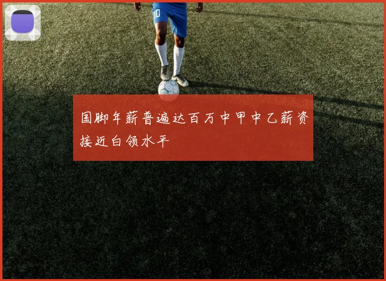 国脚年薪普遍达百万中甲中乙薪资接近白领水平