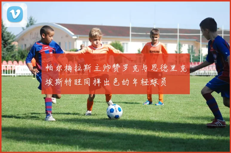 帕尔梅拉斯主帅赞罗克与恩德里克埃斯特旺同样出色的年轻球员