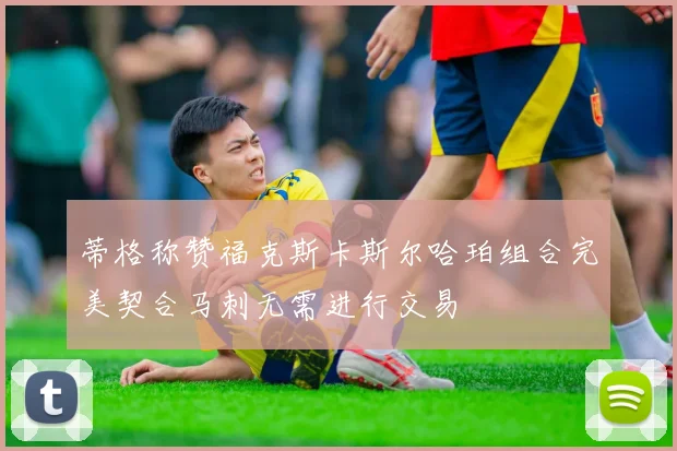 蒂格称赞福克斯卡斯尔哈珀组合完美契合马刺无需进行交易