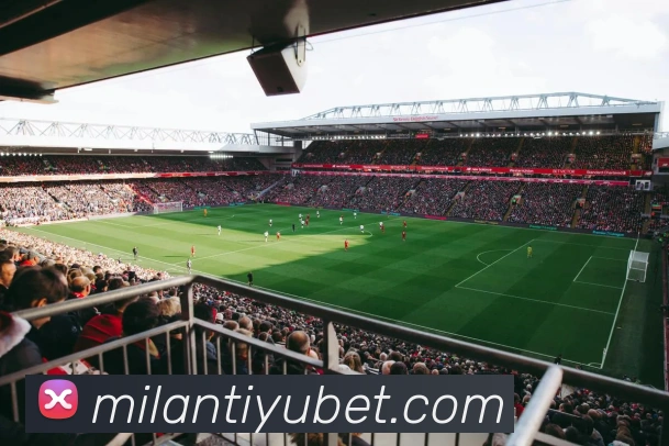 米兰体育平台生态图